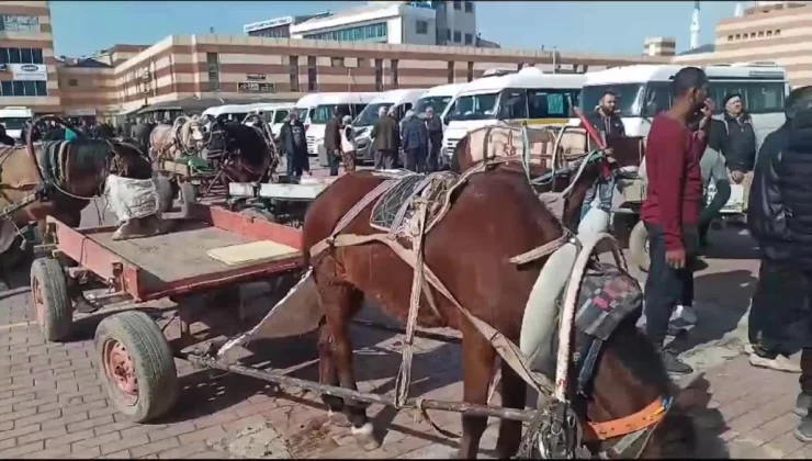 Keşan Belediyesi, at arabacılarına verilen sözleri tutmadı