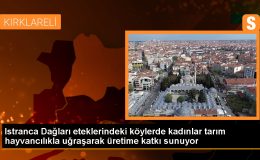 Kırklareli Köylerinde Kadınlar Tarla İşlerinden Hayvan Bakıcılığına Destek Oluyor