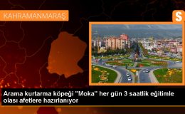 Sakarya İtfaiyesi’nin arama kurtarma köpeği Moka, her zaman göreve hazır