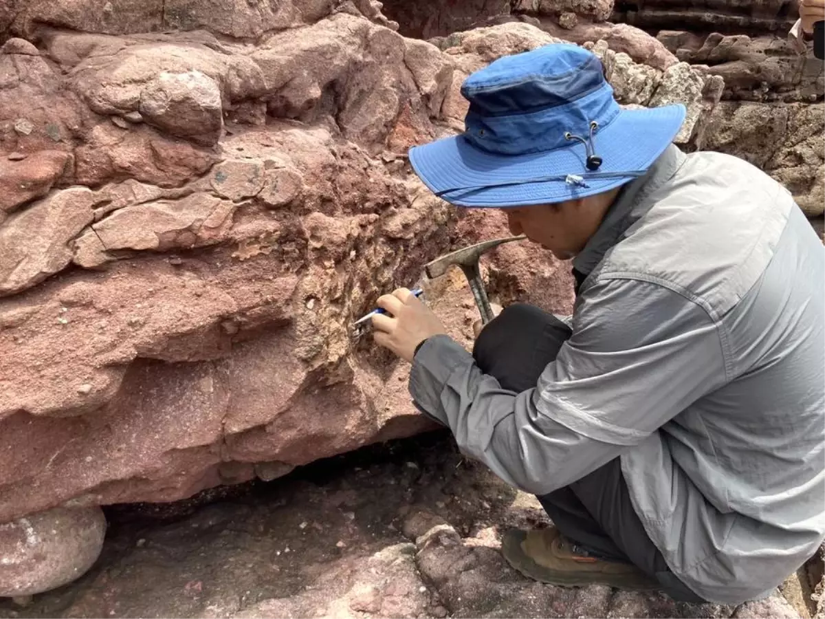 Hong Kong’da İlk Dinozor Fosilleri Keşfedildi